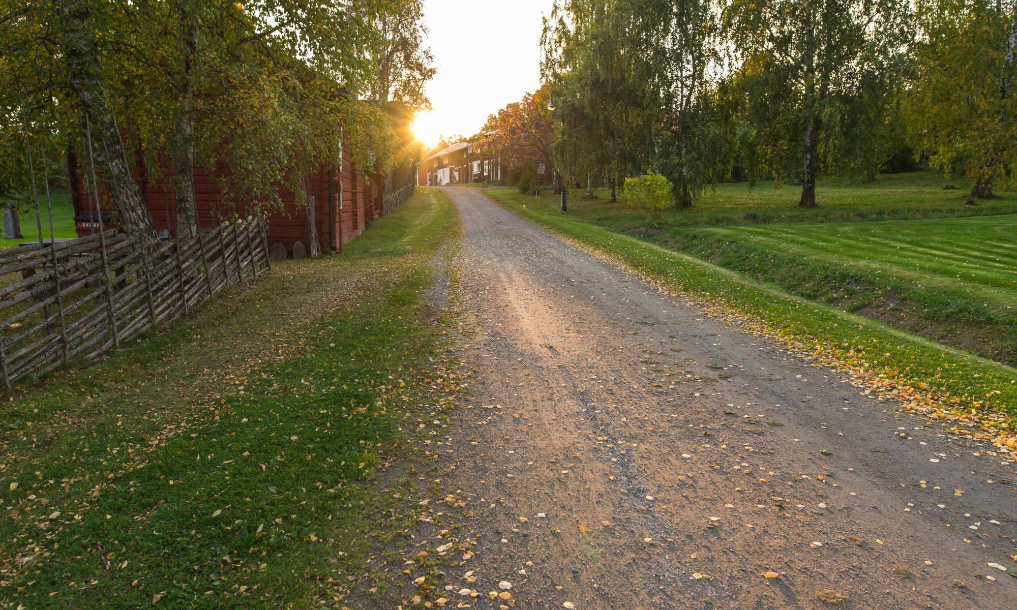 Autmn leaves on a gravel road